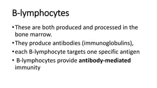 B-lymphocytes
•These are both produced and processed in the
bone marrow.
•They produce antibodies (immunoglobulins),
•each B-lymphocyte targets one specific antigen
• B-lymphocytes provide antibody-mediated
immunity
 
