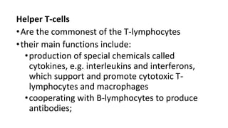 Helper T-cells
•Are the commonest of the T-lymphocytes
•their main functions include:
•production of special chemicals called
cytokines, e.g. interleukins and interferons,
which support and promote cytotoxic T-
lymphocytes and macrophages
•cooperating with B-lymphocytes to produce
antibodies;
 