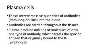 Plasma cells
•These secrete massive quantities of antibodies
(immunoglobulins) into the blood.
•Antibodies are carried throughout the tissues.
•Plasma produce millions of molecules of only
one type of antibody, which targets the specific
antigen that originally bound to the B-
lymphocyte.
 