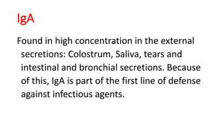 IgA
Found in high concentration in the external
secretions: Colostrum, Saliva, tears and
intestinal and bronchial secretions. Because
of this, IgA is part of the first line of defense
against infectious agents.
 