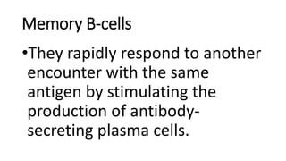Memory B-cells
•They rapidly respond to another
encounter with the same
antigen by stimulating the
production of antibody-
secreting plasma cells.
 