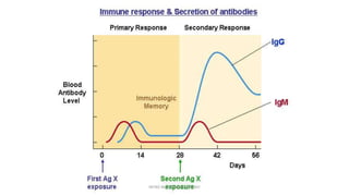 INTRO BLOCK IMMUNOLOGY
 