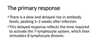 The primary response
•There is a slow and delayed rise in antibody
levels, peaking 1–2 weeks after infection.
•This delayed response reflects the time required
to activate the T-lymphocyte system, which then
stimulates B lymphocyte division.
 