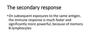 The secondary response
•On subsequent exposures to the same antigen,
the immune response is much faster and
significantly more powerful, because of memory
B-lymphocytes
 