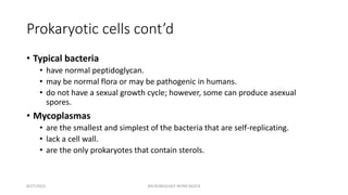Prokaryotic cells cont’d
• Typical bacteria
• have normal peptidoglycan.
• may be normal flora or may be pathogenic in humans.
• do not have a sexual growth cycle; however, some can produce asexual
spores.
• Mycoplasmas
• are the smallest and simplest of the bacteria that are self-replicating.
• lack a cell wall.
• are the only prokaryotes that contain sterols.
8/27/2023 MICROBIOLOGY INTRO BLOCK
 