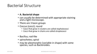 Bacterial Structure
• A. Bacterial shape
• can usually be determined with appropriate staining
and a light microscope.
• There are 3 basic groups
• Coccus (cocci); round
• Cocci that grow in clusters are called staphylococci
• Cocci that grow in chains are called streptococci
• Bacillus; rod-like
• spirochetes; spiral
• may be pleomorphic (variable in shape) with some
species, such as Bacteroides.
8/27/2023 MICROBIOLOGY INTRO BLOCK
 