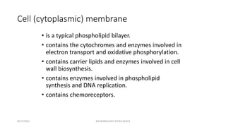 Cell (cytoplasmic) membrane
• is a typical phospholipid bilayer.
• contains the cytochromes and enzymes involved in
electron transport and oxidative phosphorylation.
• contains carrier lipids and enzymes involved in cell
wall biosynthesis.
• contains enzymes involved in phospholipid
synthesis and DNA replication.
• contains chemoreceptors.
8/27/2023 MICROBIOLOGY INTRO BLOCK
 