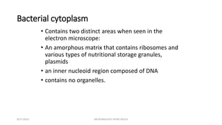 Bacterial cytoplasm
• Contains two distinct areas when seen in the
electron microscope:
• An amorphous matrix that contains ribosomes and
various types of nutritional storage granules,
plasmids
• an inner nucleoid region composed of DNA
• contains no organelles.
8/27/2023 MICROBIOLOGY INTRO BLOCK
 