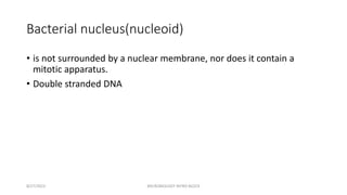 Bacterial nucleus(nucleoid)
• is not surrounded by a nuclear membrane, nor does it contain a
mitotic apparatus.
• Double stranded DNA
8/27/2023 MICROBIOLOGY INTRO BLOCK
 