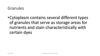 Granules
•Cytoplasm contains several different types
of granules that serve as storage areas for
nutrients and stain characteristically with
certain dyes
8/27/2023 MICROBIOLOGY INTRO BLOCK
 