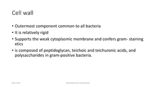 Cell wall
• Outermost component common to all bacteria
• It is relatively rigid
• Supports the weak cytoplasmic membrane and confers gram- staining
xtics
• is composed of peptidoglycan, teichoic and teichuronic acids, and
polysaccharides in gram-positive bacteria.
8/27/2023 MICROBIOLOGY INTRO BLOCK
 