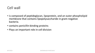Cell wall
• is composed of peptidoglycan, lipoprotein, and an outer phospholipid
membrane that contains lipopolysaccharide in gram-negative
bacteria.
• contains penicillin-binding proteins
• Plays an important role in cell division
8/27/2023 MICROBIOLOGY INTRO BLOCK
 