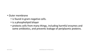 • Outer membrane
• is found in gram-negative cells.
• is a phospholipid bilayer
• protects cells from many things, including harmful enzymes and
some antibiotics, and prevents leakage of periplasmic proteins.
8/27/2023 MICROBIOLOGY INTRO BLOCK
 