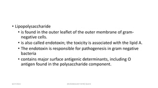 • Lipopolysaccharide
• is found in the outer leaflet of the outer membrane of gram-
negative cells.
• is also called endotoxin; the toxicity is associated with the lipid A.
• The endotoxin is responsible for pathogenesis in gram negative
bacteria
• contains major surface antigenic determinants, including O
antigen found in the polysaccharide component.
8/27/2023 MICROBIOLOGY INTRO BLOCK
 