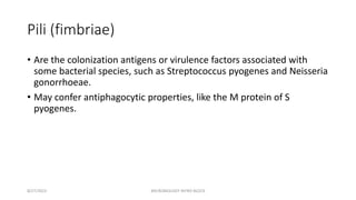 Pili (fimbriae)
• Are the colonization antigens or virulence factors associated with
some bacterial species, such as Streptococcus pyogenes and Neisseria
gonorrhoeae.
• May confer antiphagocytic properties, like the M protein of S
pyogenes.
8/27/2023 MICROBIOLOGY INTRO BLOCK
 