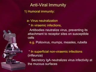 Anti-Viral Immunity
1) Humoral immunity:
a- Virus neutralization
* In viraemic infections,
Antibodies neutralize virus, preventing its
attachment to receptor sites on susceptible
cells
e.g. Poliovirus, mumps, measles, rubella
* In superficial non-viraemic infections
(infleunza)
Secretory IgA neutralizes virus infectivity at
the mucous surfaces
 