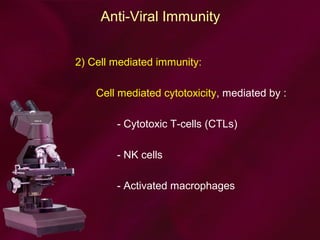 Anti-Viral Immunity
2) Cell mediated immunity:
Cell mediated cytotoxicity, mediated by :
- Cytotoxic T-cells (CTLs)
- NK cells
- Activated macrophages
 