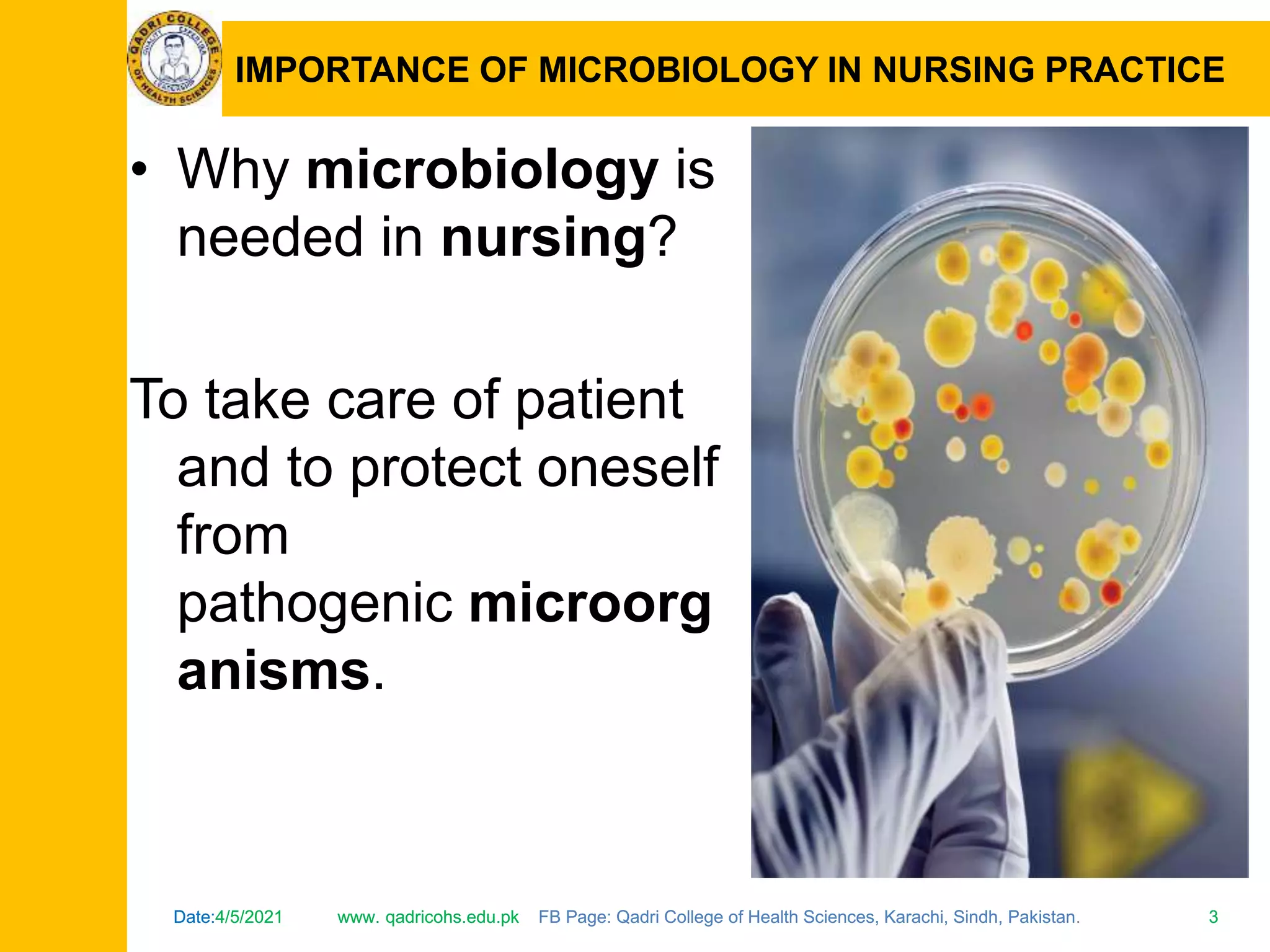 Microbiology visual data 8