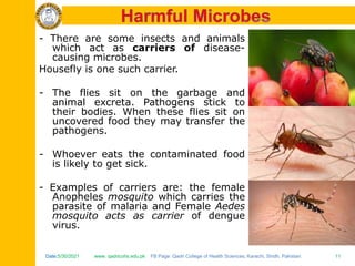 Date:5/30/2021 www. qadricohs.edu.pk FB Page: Qadri College of Health Sciences, Karachi, Sindh, Pakistan. 11
Date:5/30/2021 www. qadricohs.edu.pk FB Page: Qadri College of Health Sciences, Karachi, Sindh, Pakistan. 11
- There are some insects and animals
which act as carriers of disease-
causing microbes.
Housefly is one such carrier.
- The flies sit on the garbage and
animal excreta. Pathogens stick to
their bodies. When these flies sit on
uncovered food they may transfer the
pathogens.
- Whoever eats the contaminated food
is likely to get sick.
- Examples of carriers are: the female
Anopheles mosquito which carries the
parasite of malaria and Female Aedes
mosquito acts as carrier of dengue
virus.
 