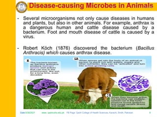 Date:5/30/2021 www. qadricohs.edu.pk FB Page: Qadri College of Health Sciences, Karachi, Sindh, Pakistan. 8
Date:5/30/2021 www. qadricohs.edu.pk FB Page: Qadri College of Health Sciences, Karachi, Sindh, Pakistan. 8
- Several microorganisms not only cause diseases in humans
and plants, but also in other animals. For example, anthrax is
a dangerous human and cattle disease caused by a
bacterium. Foot and mouth disease of cattle is caused by a
virus.
- Robert Köch (1876) discovered the bacterium (Bacillus
Anthracis) which causes anthrax disease.
 
