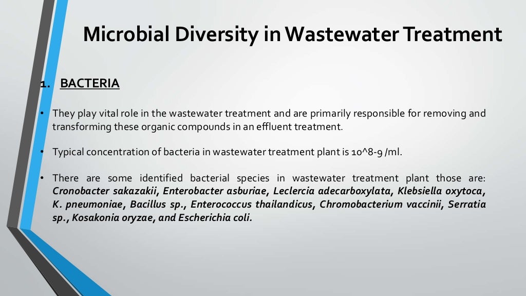 Microbiology in wastewater treatment