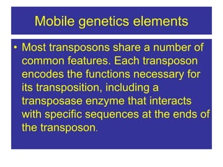 Mobile genetics elements
• Most transposons share a number of
common features. Each transposon
encodes the functions necessary for
its transposition, including a
transposase enzyme that interacts
with specific sequences at the ends of
the transposon.
 