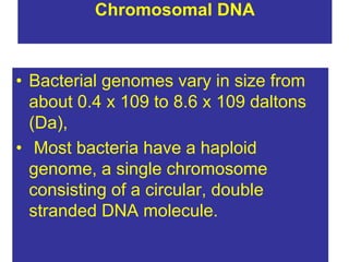 Chromosomal DNA
• Bacterial genomes vary in size from
about 0.4 x 109 to 8.6 x 109 daltons
(Da),
• Most bacteria have a haploid
genome, a single chromosome
consisting of a circular, double
stranded DNA molecule.
 