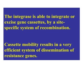 The integrase is able to integrate or
excise gene cassettes, by a site-
specific system of recombination.
Cassette mobility results in a very
efficient system of dissemination of
resistance genes.
 