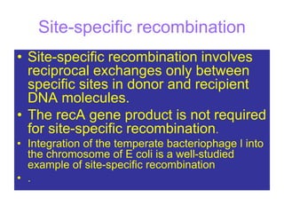 Site-specific recombination
• Site-specific recombination involves
reciprocal exchanges only between
specific sites in donor and recipient
DNA molecules.
• The recA gene product is not required
for site-specific recombination.
• Integration of the temperate bacteriophage l into
the chromosome of E coli is a well-studied
example of site-specific recombination
• .
 