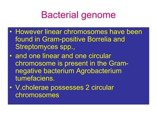 Bacterial genome
• However linear chromosomes have been
found in Gram-positive Borrelia and
Streptomyces spp.,
• and one linear and one circular
chromosome is present in the Gram-
negative bacterium Agrobacterium
tumefaciens.
• V.cholerae possesses 2 circular
chromosomes
 
