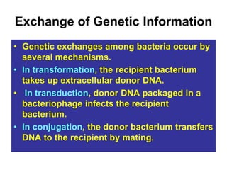 Exchange of Genetic Information
• Genetic exchanges among bacteria occur by
several mechanisms.
• In transformation, the recipient bacterium
takes up extracellular donor DNA.
• In transduction, donor DNA packaged in a
bacteriophage infects the recipient
bacterium.
• In conjugation, the donor bacterium transfers
DNA to the recipient by mating.
 