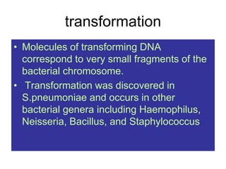 transformation
• Molecules of transforming DNA
correspond to very small fragments of the
bacterial chromosome.
• Transformation was discovered in
S.pneumoniae and occurs in other
bacterial genera including Haemophilus,
Neisseria, Bacillus, and Staphylococcus
 
