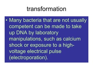 transformation
• Many bacteria that are not usually
competent can be made to take
up DNA by laboratory
manipulations, such as calcium
shock or exposure to a high-
voltage electrical pulse
(electroporation).
 
