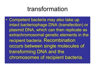 transformation
• Competent bacteria may also take up
intact bacteriophage DNA (transfection) or
plasmid DNA, which can then replicate as
extrachromosomal genetic elements in the
recipient bacteria. Recombination
occurs between single molecules of
transforming DNA and the
chromosomes of recipient bacteria.
 