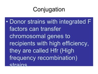 Conjugation
• Donor strains with integrated F
factors can transfer
chromosomal genes to
recipients with high efficiency,
they are called Hfr (High
frequency recombination)
strains.
 