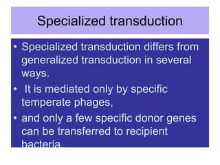 Specialized transduction
• Specialized transduction differs from
generalized transduction in several
ways.
• It is mediated only by specific
temperate phages,
• and only a few specific donor genes
can be transferred to recipient
bacteria.
 