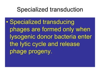 Specialized transduction
• Specialized transducing
phages are formed only when
lysogenic donor bacteria enter
the lytic cycle and release
phage progeny.
 