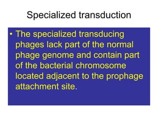 Specialized transduction
• The specialized transducing
phages lack part of the normal
phage genome and contain part
of the bacterial chromosome
located adjacent to the prophage
attachment site.
 