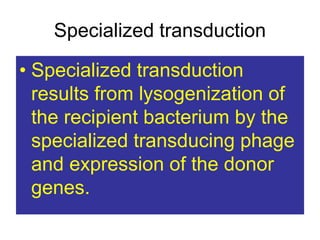 Specialized transduction
• Specialized transduction
results from lysogenization of
the recipient bacterium by the
specialized transducing phage
and expression of the donor
genes.
 