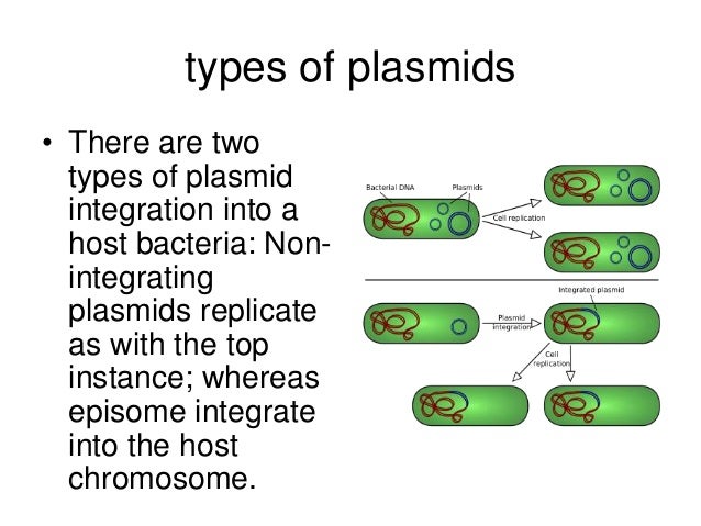 Microbiology