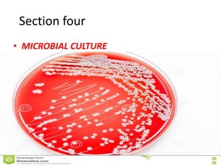 Section four
• MICROBIAL CULTURE
 