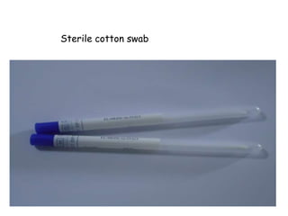 Microbiology lab 2 | PPTX