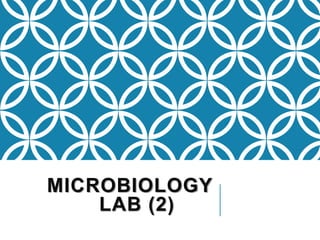 MICROBIOLOGY
LAB (2)
 