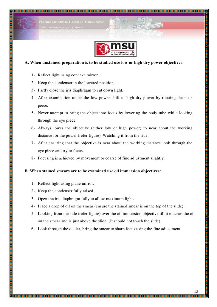 Microbiology (lab report 1 format)