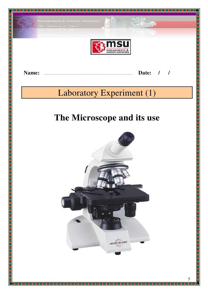 Microbiology (lab report 1 format)