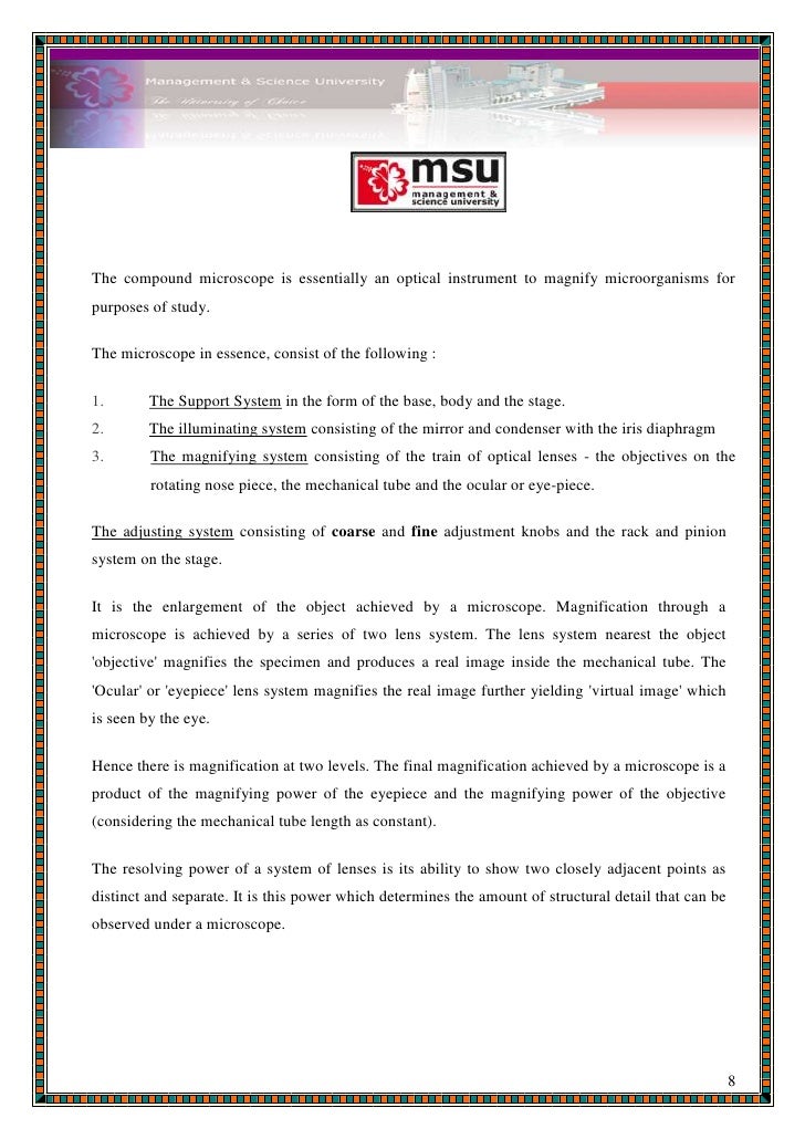 Microbiology (lab report 1 format)