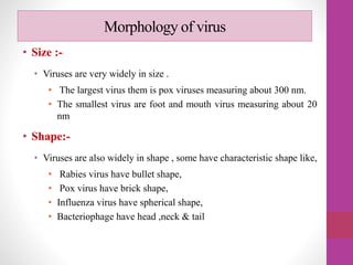 Morphology of virus
• Size :-
• Viruses are very widely in size .
• The largest virus them is pox viruses measuring about 300 nm.
• The smallest virus are foot and mouth virus measuring about 20
nm
• Shape:-
• Viruses are also widely in shape , some have characteristic shape like,
• Rabies virus have bullet shape,
• Pox virus have brick shape,
• Influenza virus have spherical shape,
• Bacteriophage have head ,neck & tail
 