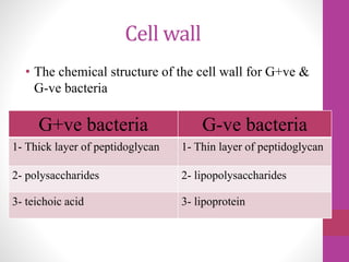 Cell wall
• The chemical structure of the cell wall for G+ve &
G-ve bacteria
G+ve bacteria G-ve bacteria
1- Thick layer of peptidoglycan 1- Thin layer of peptidoglycan
2- polysaccharides 2- lipopolysaccharides
3- teichoic acid 3- lipoprotein
 