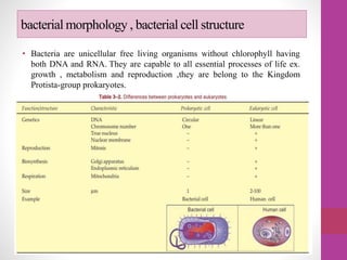 bacterial morphology , bacterial cell structure
• Bacteria are unicellular free living organisms without chlorophyll having
both DNA and RNA. They are capable to all essential processes of life ex.
growth , metabolism and reproduction ,they are belong to the Kingdom
Protista-group prokaryotes.
 