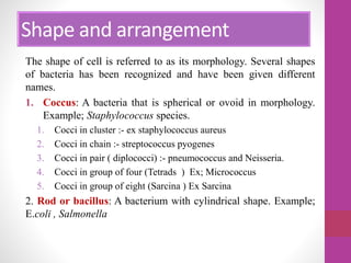 The shape of cell is referred to as its morphology. Several shapes
of bacteria has been recognized and have been given different
names.
1. Coccus: A bacteria that is spherical or ovoid in morphology.
Example; Staphylococcus species.
1. Cocci in cluster :- ex staphylococcus aureus
2. Cocci in chain :- streptococcus pyogenes
3. Cocci in pair ( diplococci) :- pneumococcus and Neisseria.
4. Cocci in group of four (Tetrads ) Ex; Micrococcus
5. Cocci in group of eight (Sarcina ) Ex Sarcina
2. Rod or bacillus: A bacterium with cylindrical shape. Example;
E.coli , Salmonella
Shape and arrangement
 